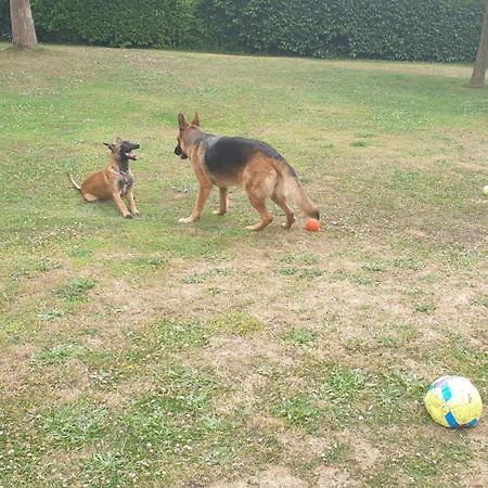 Appartement 50 M2, Calme, Marche A Pied, Proche Mer غيديل المظهر الخارجي الصورة