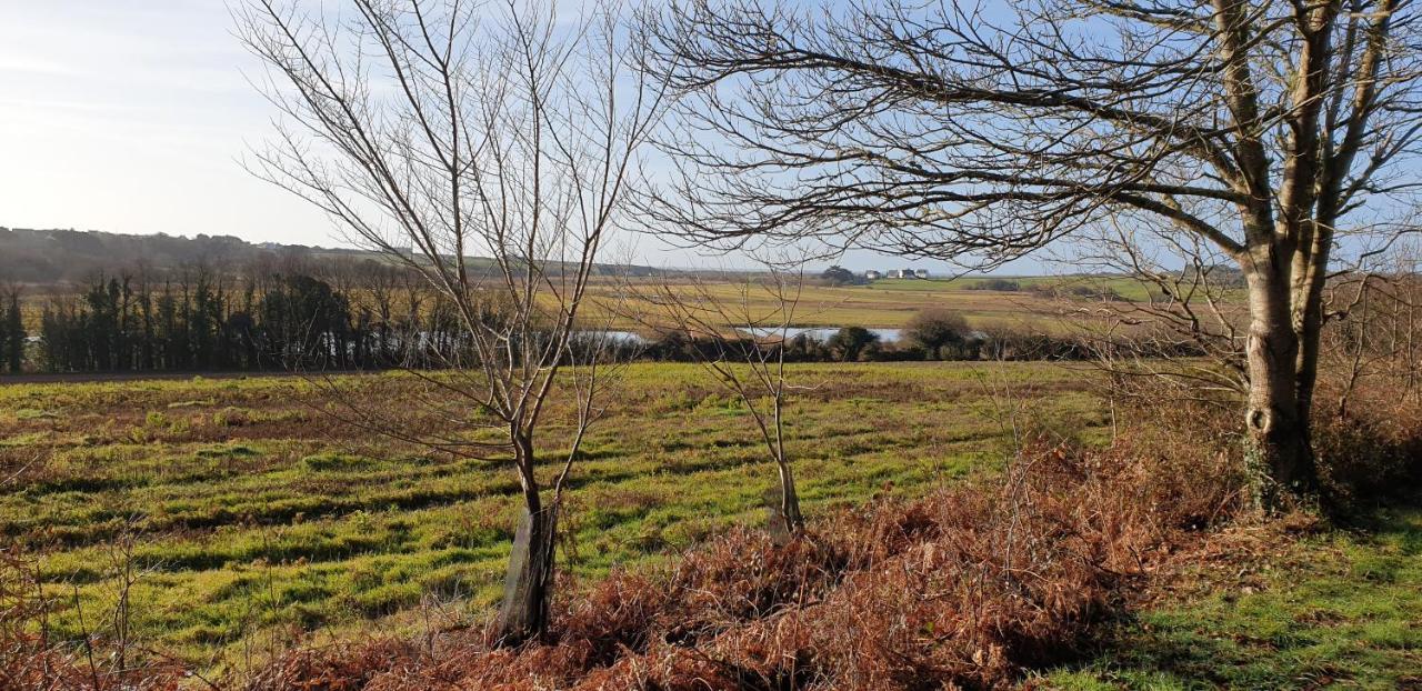 Appartement 50 M2, Calme, Marche A Pied, Proche Mer غيديل المظهر الخارجي الصورة